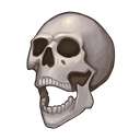 Skeleton Skull — game art
